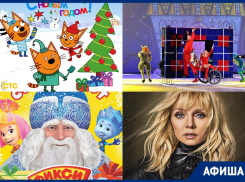 Какие события ждут воронежцев на новогодних праздниках