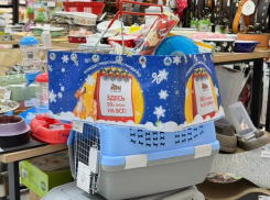 Сеть зоомагазинов «Нора» приглашает на декабрьскую распродажу!