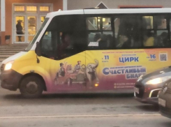 Стало известно, как могло произойти ЧП с отрубленным пальцем женщины в воронежской маршрутке