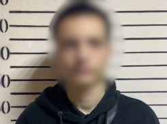 Ночные поджигатели домов и калиток задержаны в Воронеже – опубликовано видео