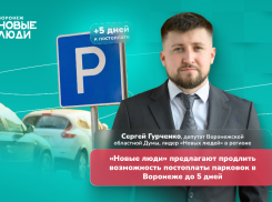 Парковочные штрафы в Воронеже: «Новые люди» предлагают изменить систему из-за массовых проблем