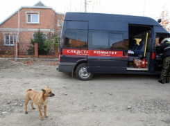 В Воронежской области за воровство электропилы мужчину зарубили топором