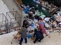 Соцсети: на помойке в Воронеже произошла очередная битва за просрочку