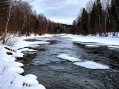 Как не пострадать на льду, напомнили воронежцам