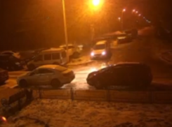 Вопиющий случай безответственности к братьям меньшим попал на видео в Воронеже