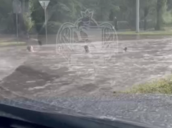 «Ты неси меня река»: воронежцы искупались в дождевой воде после грандиозного ливня 