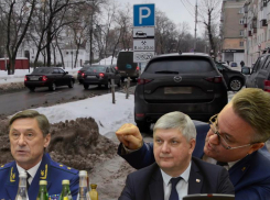 Как плюнуть в лица воронежцам и остаться на коне