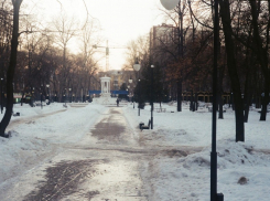 В воронежском парке «Орленок» появится искусственный каток