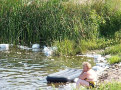 Воронежские пляжи: мусор и грязь. Зато бесплатно! (ФОТО)