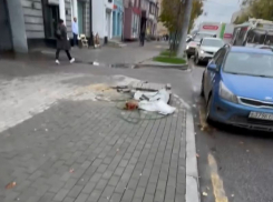 Недоделанный тротуар в центре города вызвал у воронежца мысли о Новом годе за 65 млн рублей