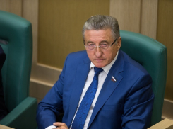 Палата регионов отстоит компенсации субъектам РФ выпадающих доходов из федерального бюджета, - воронежский сенатор  