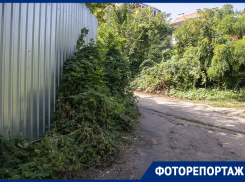 Всего 32 метра: как выглядит самая короткая улица Воронежа 