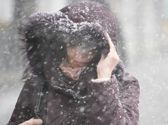 Барическая депрессия определит погоду в Воронеже 