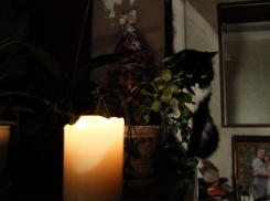 9 районов Воронежской области останутся без света в марте