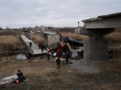 Автомобильный мост обрушился под машинами в Воронежской области