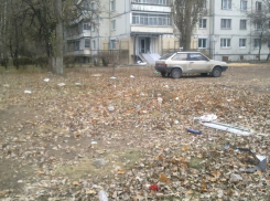 В управе Коминтерновского района Воронежа саботировали поручение мэра выйти на субботник