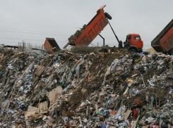 В Воронеже хотят найти «крышу» свалки, угрожающей аэродрому