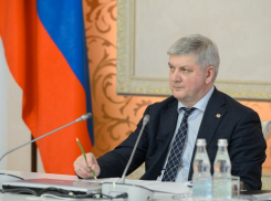 Александр Гусев потратил 12 млн бюджетных рублей на покупку двух квартир в центре Воронежа