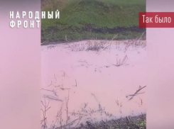 Она исчезла: приключения розовой жижи в Воронежской области продолжаются