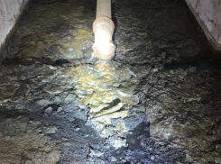 «Мы устали от бесчинства», – фекальные массы в доме доконали воронежцев