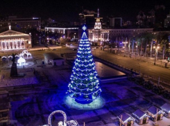В Воронеже открыли «сезон нытья» про новогоднюю елку