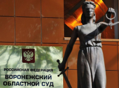 Бывший воронежский опер Бутырский не смог обжаловать приговор за взятку