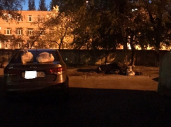 Вонючее наказание настигло иномарку за плохую парковку в Воронеже 