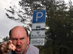 Воронежцы требуют отменить повсеместные платные парковки