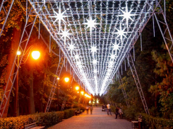 Когда должна светиться гордость мэрии, предложили решить жителям Воронежа