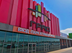 Прокуратура начала проверку после скандала с допуском ребенка-инвалида на аттракцион в Воронеже