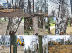 В безалаберном обновлении парка Дурова обвинили мэрию Воронежа