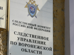 Ревнивец, избивший друга до смерти, пойдет под суд в Воронеже 