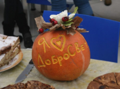 Для онкобольных детей на фестивале шарлотки воронежский фонд собрал 137 тысяч рублей