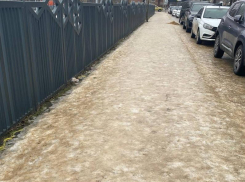 «Дети получают травмы», – опасную дорогу возле мегашколы показали на фото в Воронеже