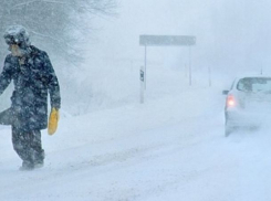 Спасатели предупредили воронежцев о метели с мокрым снегом 