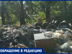 «Вы охамели?»: безобразие по соседству с воронежцами показали на видео  