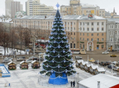 Мэрия Воронежа нашла ответ для желающих поставить новогоднюю ель за 1 копейку