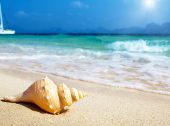 В Воронеже мошенница украла у клиента турфирмы 280 тысяч рублей