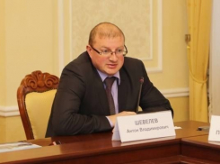 Осужденный за взятки экс-чиновник Шевелев попросил в Воронеже об освобождении