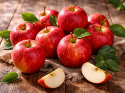 210 млн рублей взыскали с воронежского предприятия, засветившегося в использовании «рабского труда»