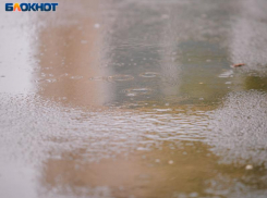 Дожди завершат рабочую неделю в Воронеже