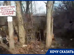 Выполнение чиновниками своей работы вызвало восторг у жительницы Воронежа