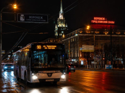 Воронежский водитель выгнал из автобуса в ночь несовершеннолетнего инвалида 1-й группы 