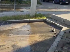 «Уходим под воду»: что творится на воронежской улице 