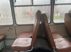 Воронежцев возмутило сокращение числа автобусов в Павловском районе 