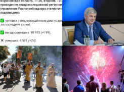 Коронавирус в Воронеже 10 августа: +468 больных, коллективный иммунитет, детские лагеря и отмена Крестного хода