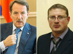 Почему Алексей Гордеев ограничивается приговором только «архитектурным бандитам» в УГА Воронежа