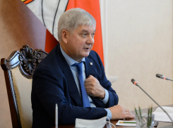 В воронежском правительстве не могут решить, как должен выглядеть обновленный театр оперы и балета