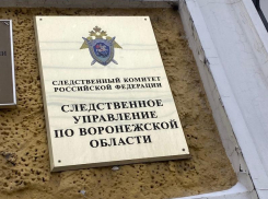 Тело 15-летнего мальчика нашли в сарае в Воронежской области