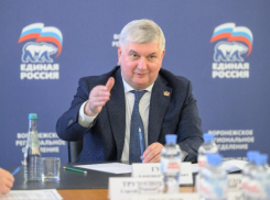 Александр Гусев назвал условия исключения воронежских депутатов из партии 